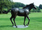 Escultura de bronce grande del caballo, diseño de bronce al aire libre de la antigüedad del caballo de las estatuas proveedor