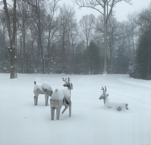 Últimos blogs de la empresa sobre La Manada Cristalina: Donde la Naturaleza se Encuentra con la Geometría