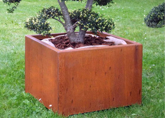 Un buen precio. Encajone el plantador de acero de Corten de la forma para al aire libre/el jardín/la decoración pública en línea