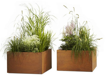 Un buen precio. Material grande del acero de Corten de las macetas de los plantadores contemporáneos del metal en línea