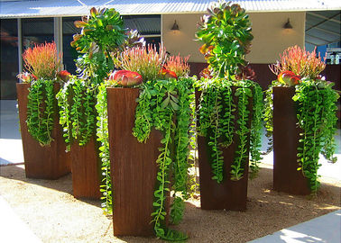 Un buen precio. Cajas grandes del plantador del acero de Corten del estilo moderno para la altura al aire libre de la decoración los 80cm en línea