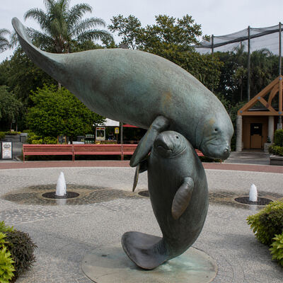 Un buen precio. Gran escultura de manatees de bronce madre y bebé Animales marinos Jardín costero Estatua de arte al aire libre en línea